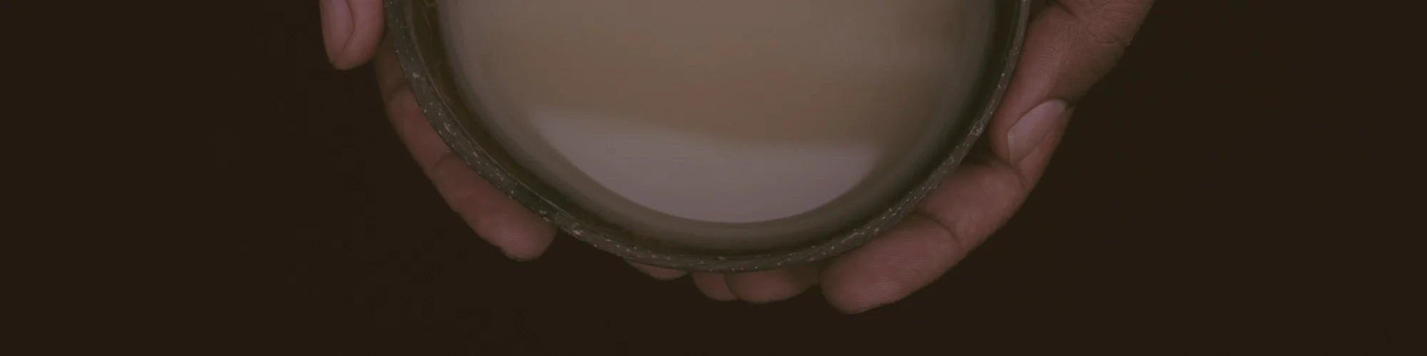 Kava