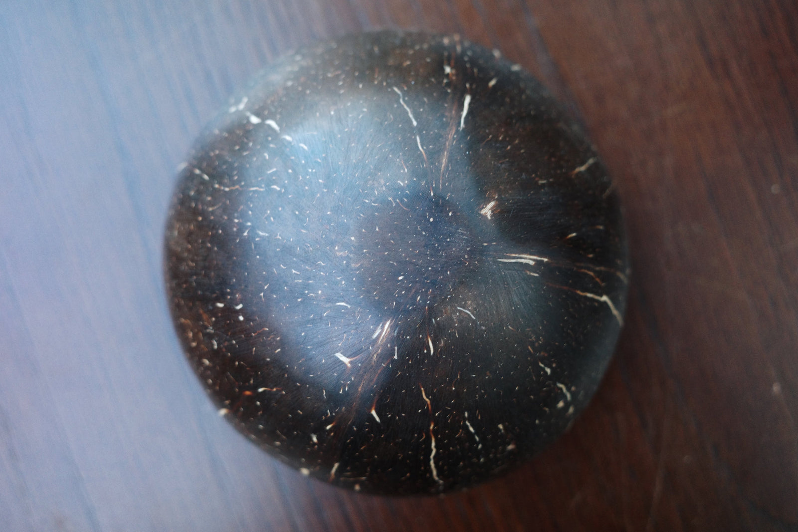 Premium Quality Coconut Shells (Ipu Niu/Bilos)